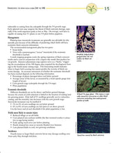 Load image into Gallery viewer, C1358 - Corn Insect Pests: A Diagnostic Guide