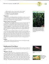 Load image into Gallery viewer, C1358 - Corn Insect Pests: A Diagnostic Guide