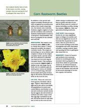 Load image into Gallery viewer, C1392 - Identifying and Managing Cucurbit Pests