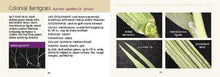 Load image into Gallery viewer, C1393 - Identifying Turf/Weedy Grasses of Northern US