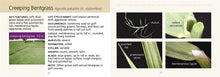 Load image into Gallery viewer, C1393 - Identifying Turf/Weedy Grasses of Northern US