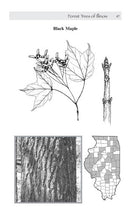 Load image into Gallery viewer, C1396 - Forest Trees of Illinois