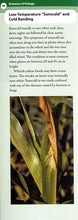 Load image into Gallery viewer, FG01 - Field Guide to Corn Diseases