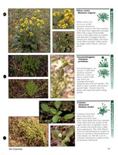 Load image into Gallery viewer, NCR614 - Early Spring Weeds of No-Till Crop Production