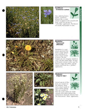 Load image into Gallery viewer, NCR614 - Early Spring Weeds of No-Till Crop Production
