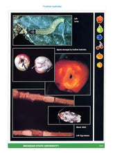 Load image into Gallery viewer, NCR63 - Common Tree Fruit Pests
