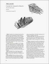 Load image into Gallery viewer, SP90 - Needled Evergreens for the Midwest