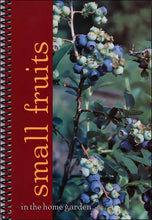 Load image into Gallery viewer, C1343 - Small Fruits in the Home Garden