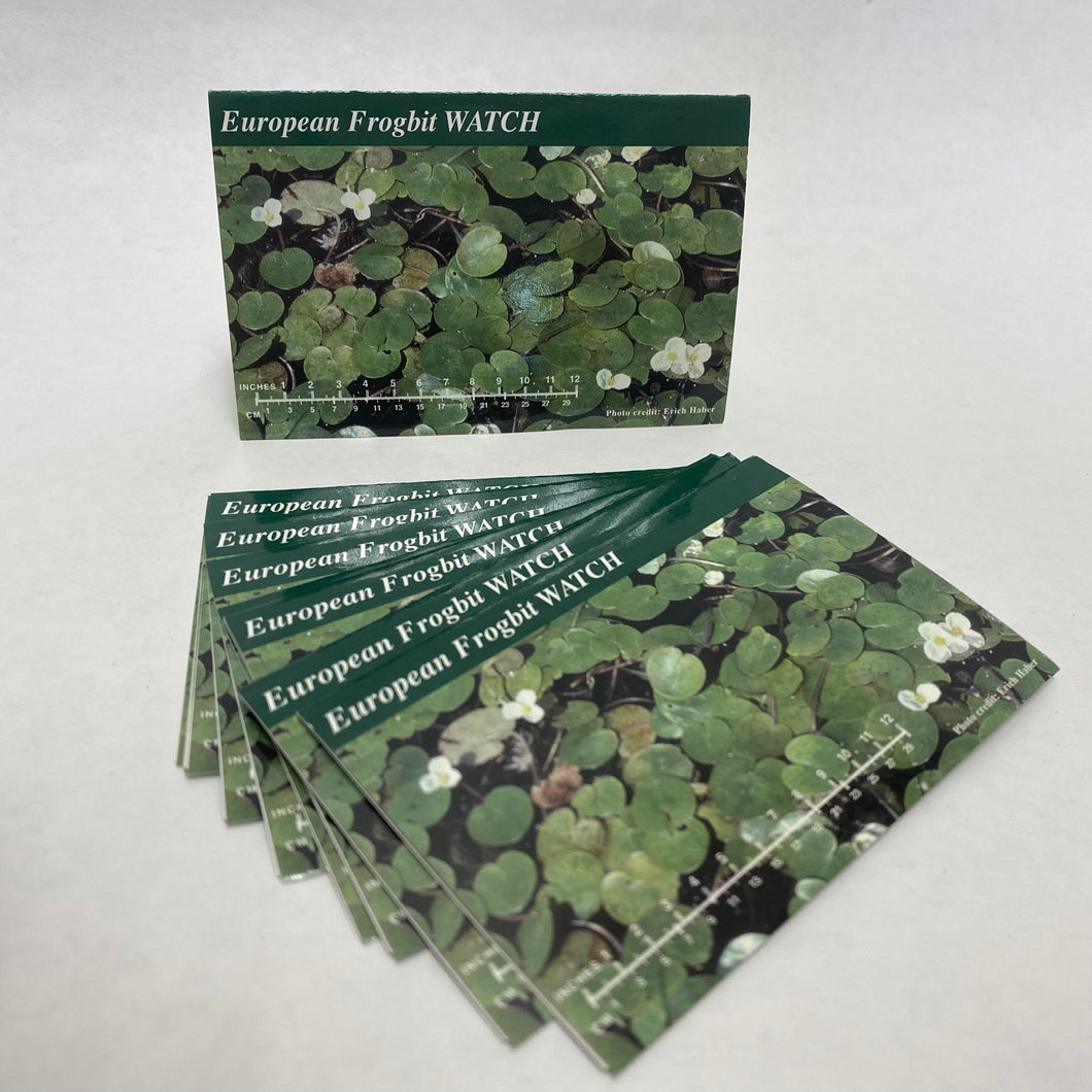 EF-IDCard-15 - European Frogbit — Identification Card