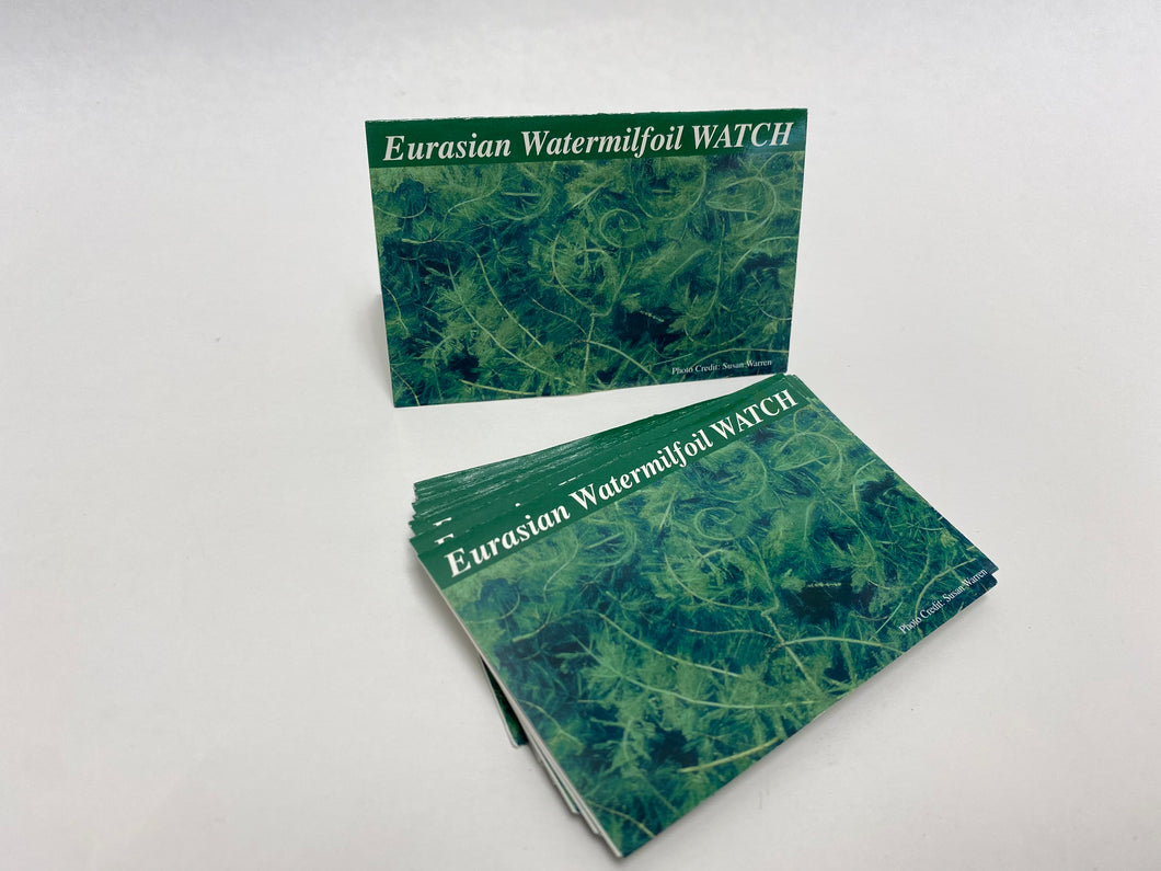 EW-IDCard-15 - Eurasian Watermilfoil — Identification Card