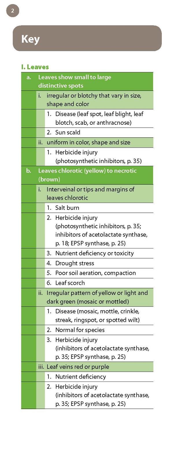 FG02 - Field Guide to Herbicide Injury on Landscape Plants  University of  Illinois Extension