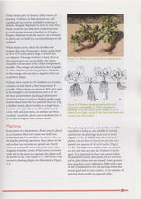 Load image into Gallery viewer, FPM3 - Midwest Strawberry Production Guide
