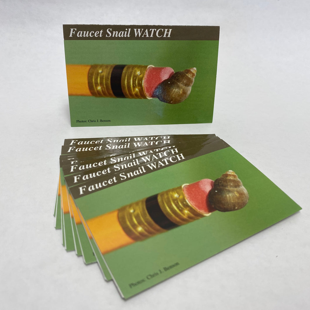 FS-IDCard-15 - Faucet Snail — Identification Card