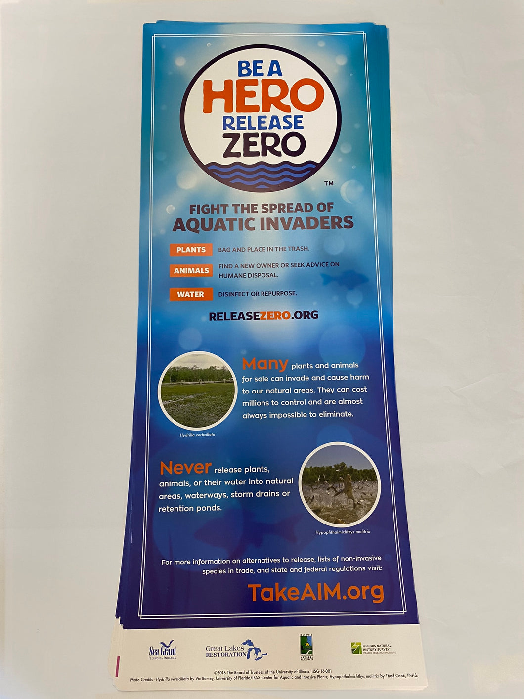IISG-16-001 - Be A Hero - Release Zero — Poster