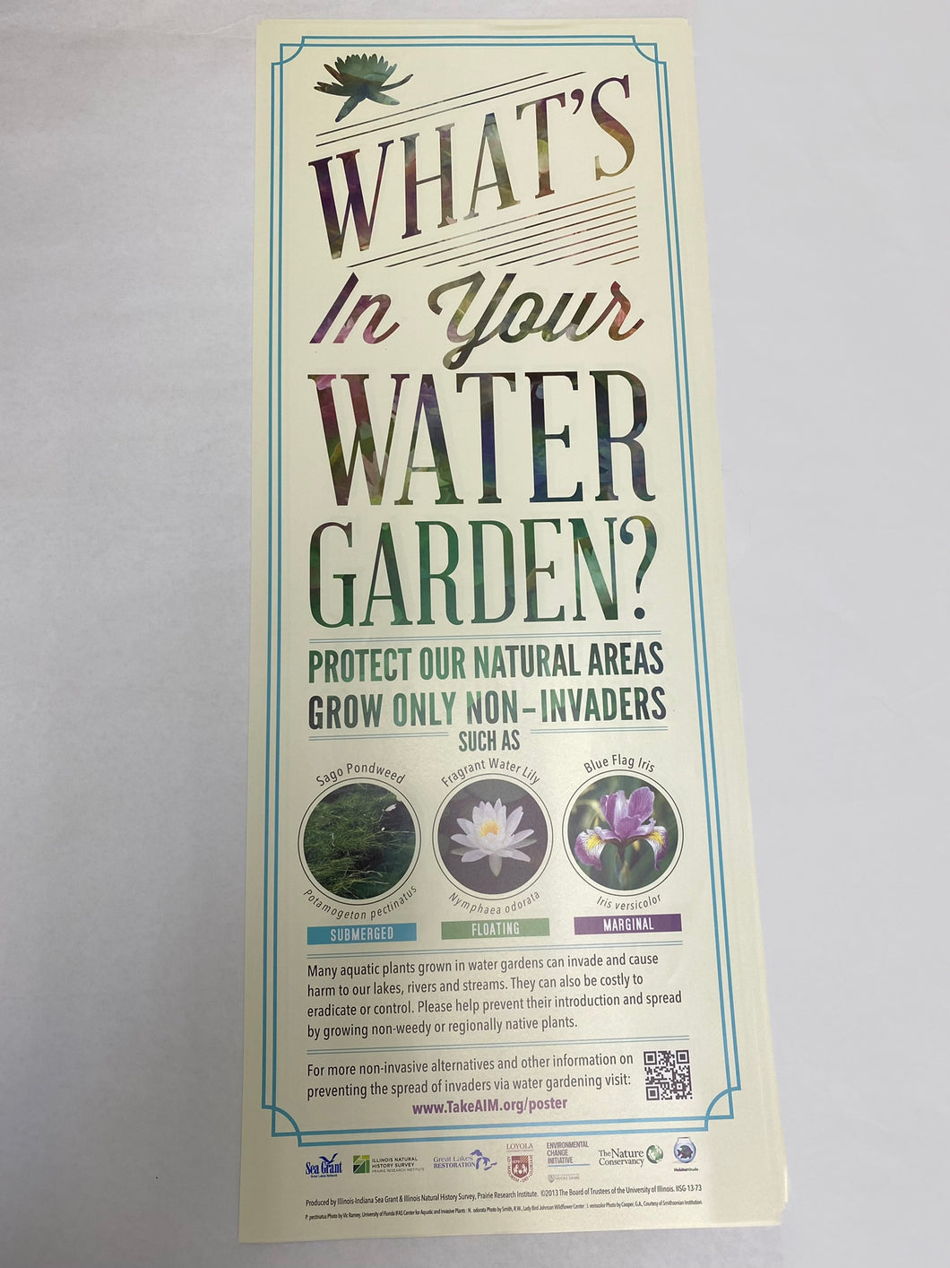 IISG 13-73 VINYL - What's in Your Water Garden? Plants — Vinyl Poster