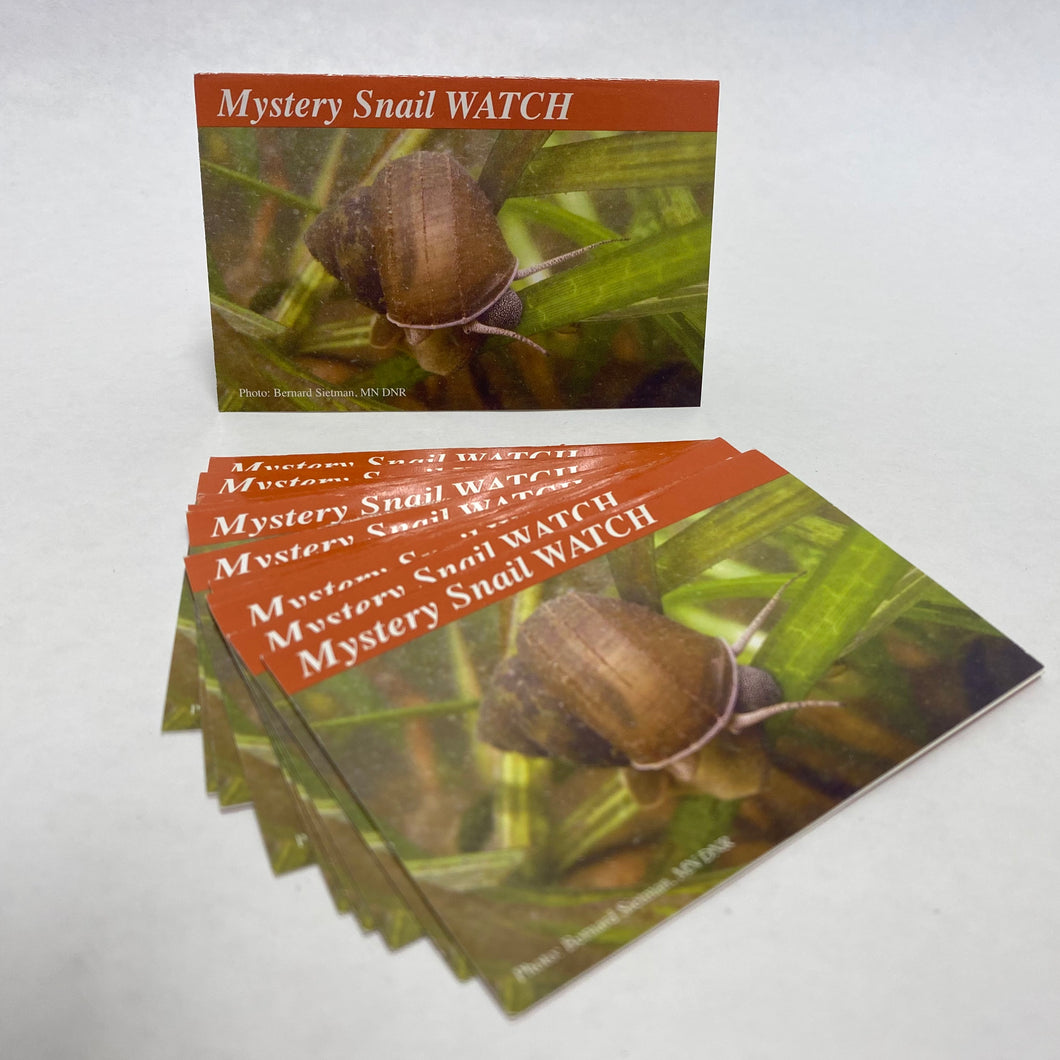 MS-IDCard-12 - Mystery Snail — Identification Card