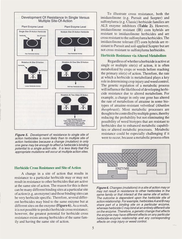 herbicide-resistant weed biotypes NCR468