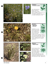 Load image into Gallery viewer, NCR614 - Early Spring Weeds of No-Till Crop Production
