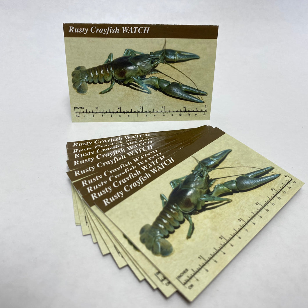 RC-IDCard-15 - Rusty Crayfish — Identification Card