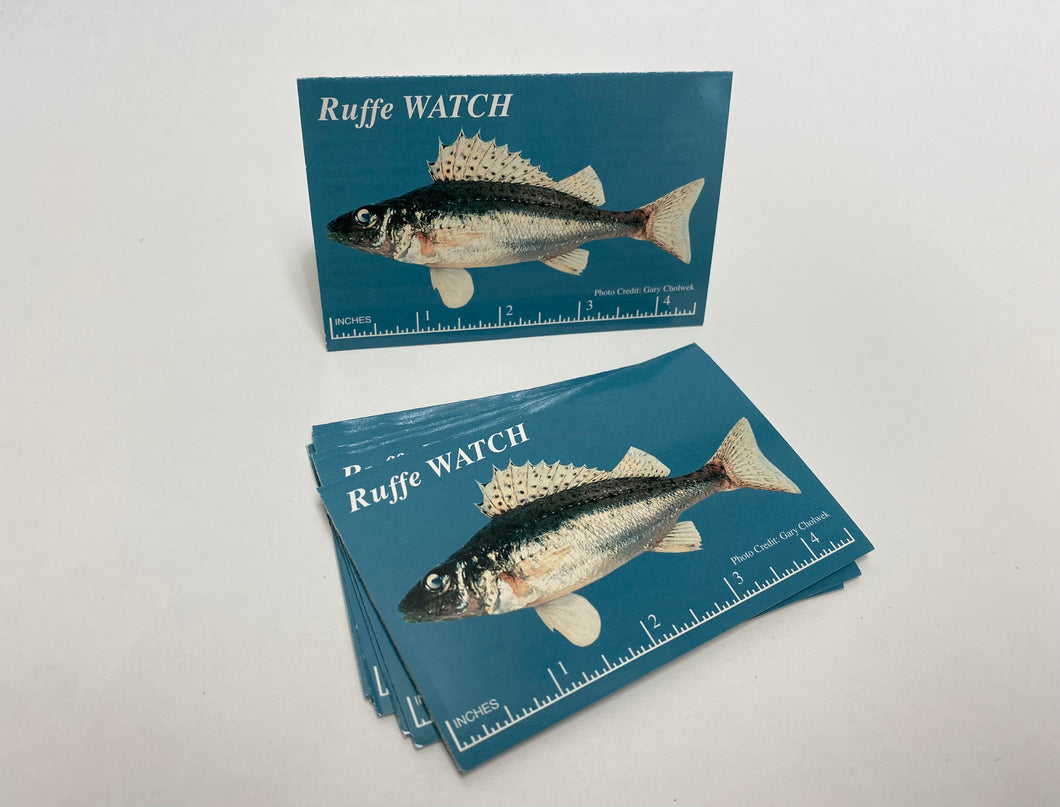 Ruffe-IDCard-15 - Ruffe — Identification Card