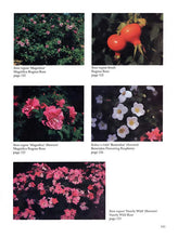 Load image into Gallery viewer, SP74 - Large Flowering Shrubs for the Midwest
