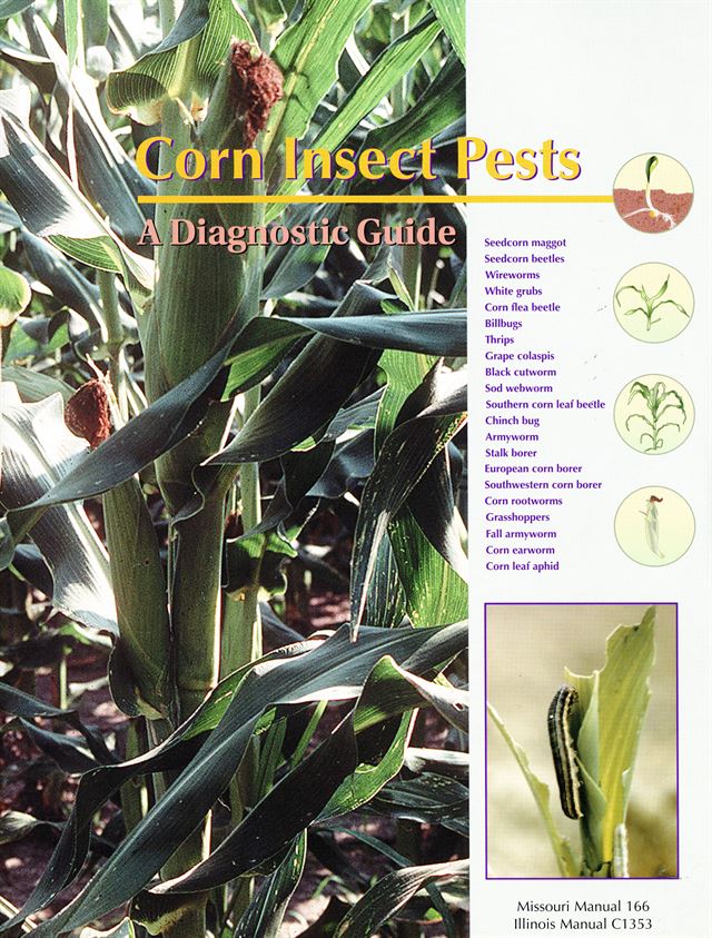 C1358 - Corn Insect Pests: A Diagnostic Guide
