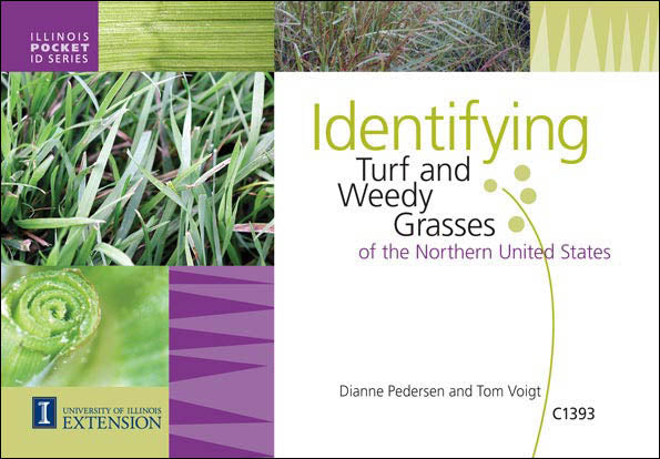 C1393 - Identifying Turf/Weedy Grasses of Northern US