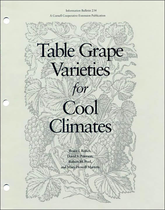 IB234 - Table Grape Varieties for Cool Climates